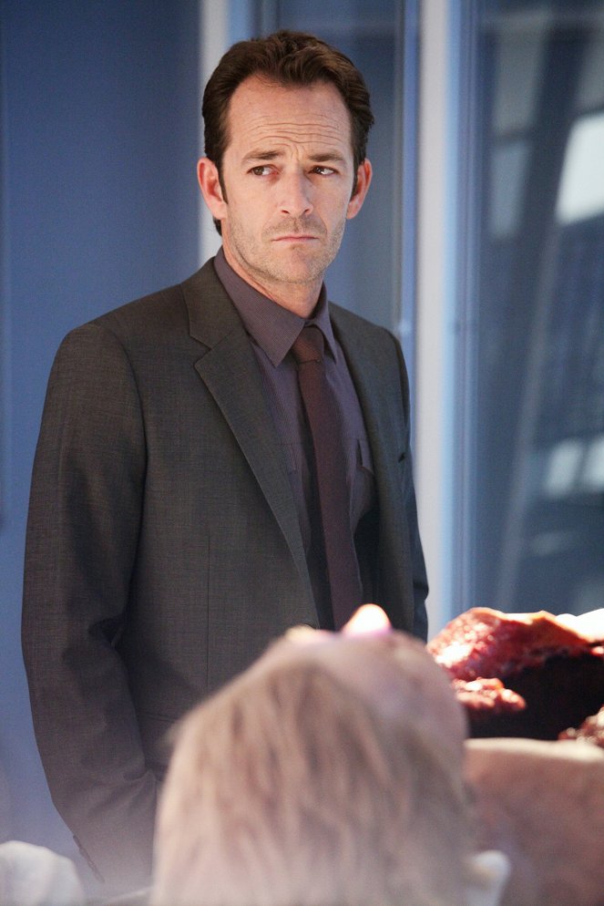 Body of Proof - Season 3 - Skin and Bones - Van film - Luke Perry