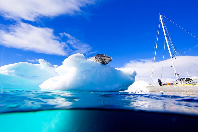 Ledový svět Antarktidy - Z filmu