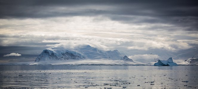 Ledový svět Antarktidy - Z filmu