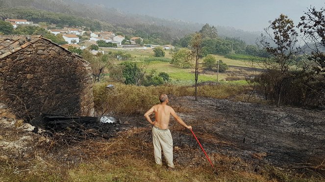 Vom Feuer bedroht - Waldbrand in Portugal - Photos