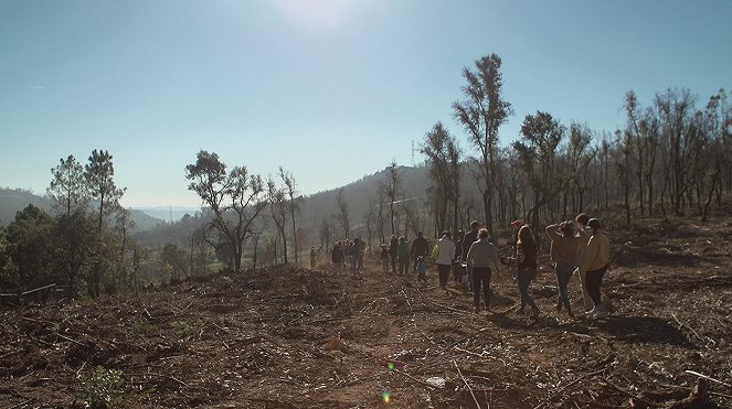 Vom Feuer bedroht - Waldbrand in Portugal - Filmfotók