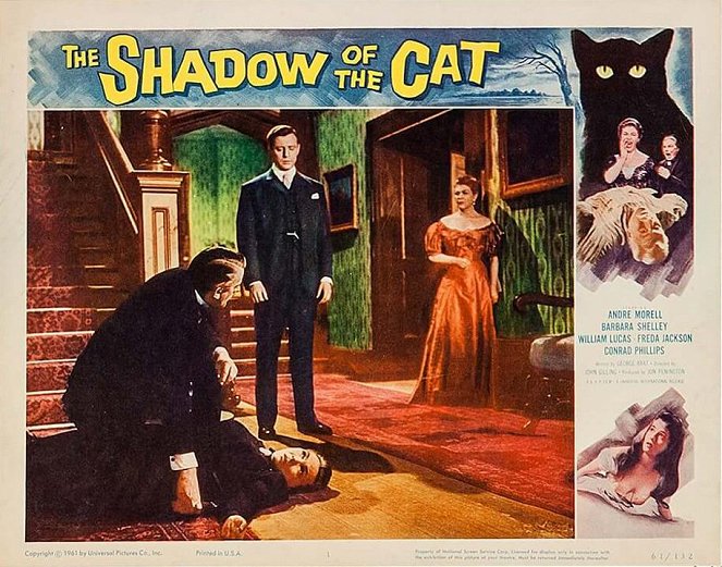 The Shadow of the Cat - Vitrinfotók