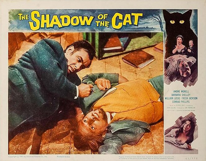 The Shadow of the Cat - Vitrinfotók