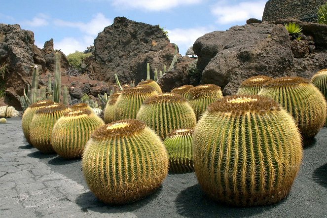 Étonnants Jardins - Le Jardin de Cactus de Lanzarote – Espagne - Van film