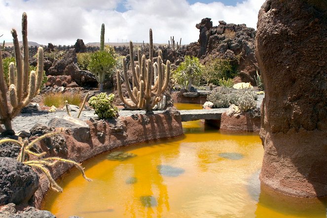 Erstaunliche Gärten - Der Kaktusgarten von Lanzarote - Filmfotos