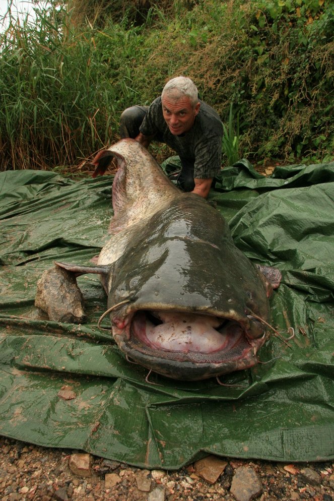 Édesvízi szörnyek - Season 2 - Filmfotók - Jeremy Wade