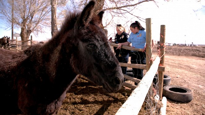 Rocky Mountain Animal Rescue - De la película
