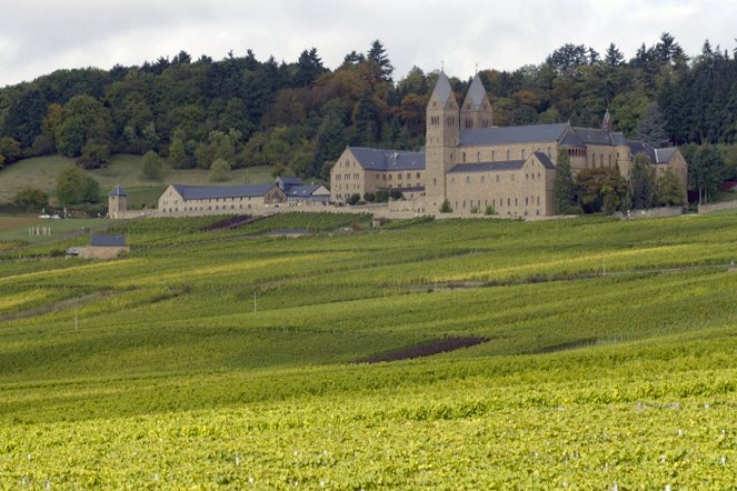 Des vignes et des hommes - Allemagne – La vallée du Rhin - Do filme