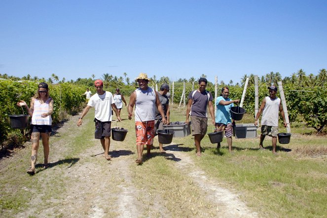 Des vignes et des hommes - Polynésie – Une vigne au milieu du Pacifique - Z filmu