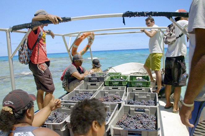 Des vignes et des hommes - Polynésie – Une vigne au milieu du Pacifique - Van film