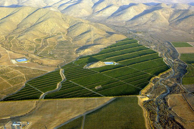 Worldwide Wine Civilizations - Season 1 - Chili – Le secret des trois vallées - Photos
