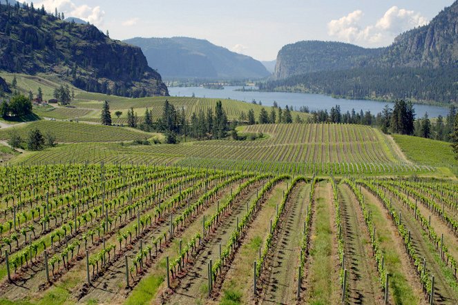 A világ híres borvidékei - Canada – Le vin des Grands Lacs - Filmfotók