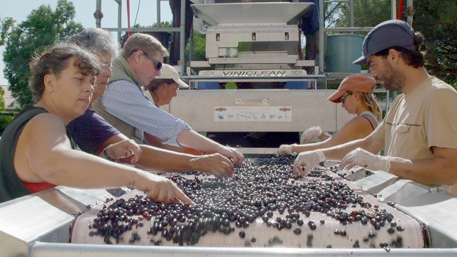Des vignes et des hommes - France – Bordeaux, un vignoble au fil de l'eau - Film