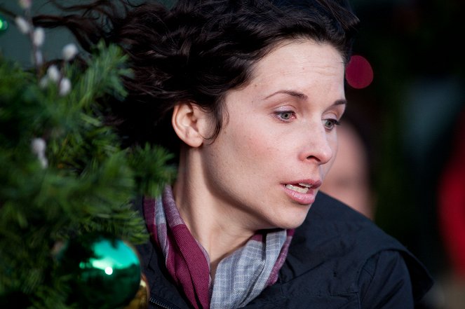 The 12 Disasters of Christmas - Film - Holly Elissa