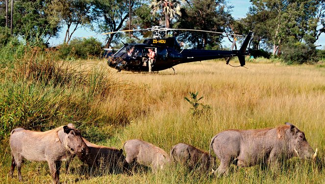 Traumflug durch Afrika - Vom Okavango zum Äquator - Photos
