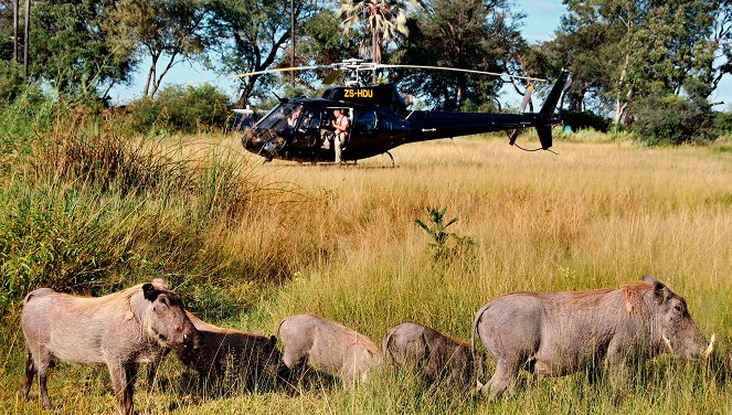 Traumflug durch Afrika - Vom Okavango zum Äquator - Do filme