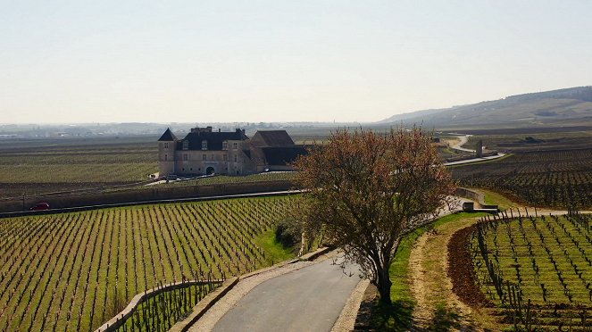 Milovníci vína - Burgundsko - Rulandské modré - Photos