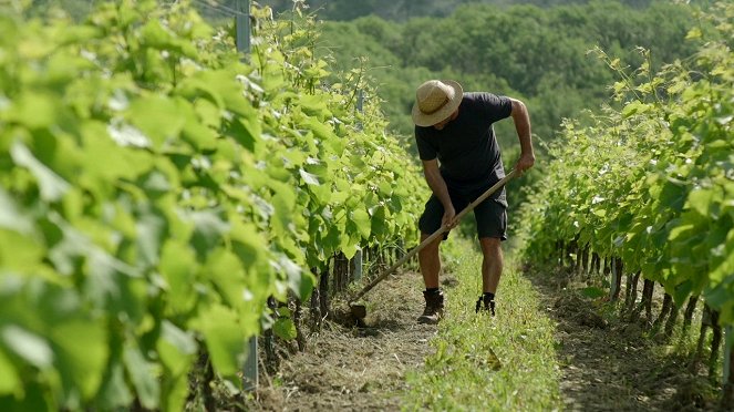 Milovníci vína - Série 1 - Burgundsko - Rulandské modré - Filmfotos