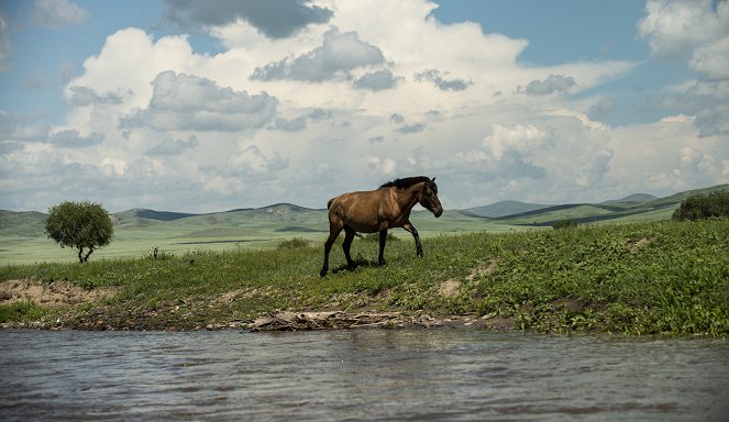 Krajem Čingischána po řece Orchon - Photos