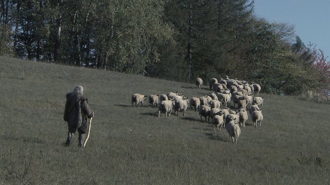 Tresty v Čechách - Jan Polák - Film