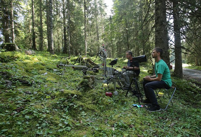 The Natural World - Attenborough and the Empire of the Ants - De filmagens