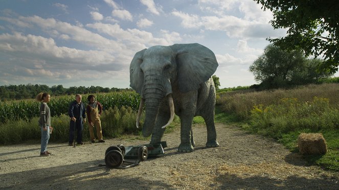 Les Derniers Rescapés - L'Éléphant - Film