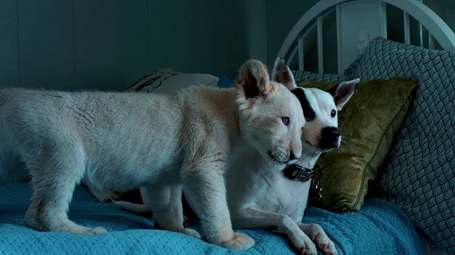 Lena & Snowball - Kleiner Löwe, großes Abenteuer - Filmfotos