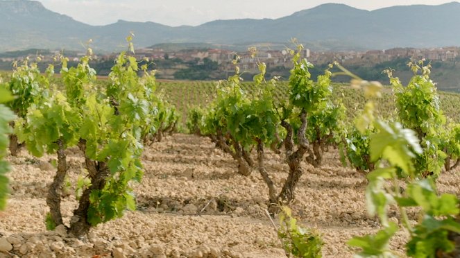 Milovníci vína - Rioja - Filmfotos
