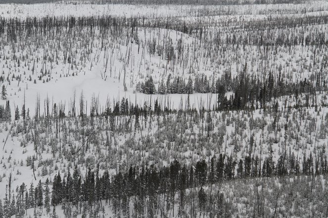 Aerial America - Yellowstone - Photos