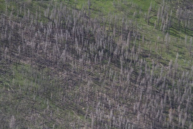 Aerial America - Yellowstone - Van film