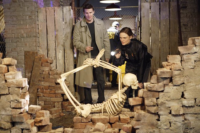 Bones - The Verdict in the Story - Photos - David Boreanaz, Emily Deschanel