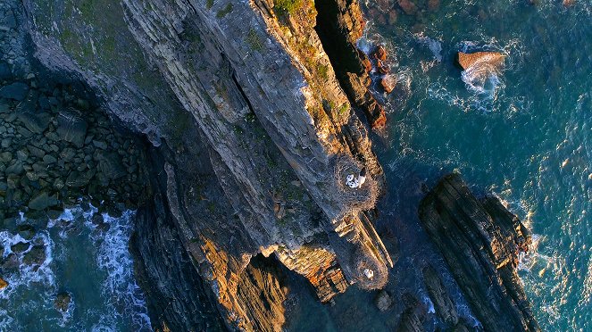 Universum: Portugal - Wildnis zwischen Land und Ozean - Filmfotos