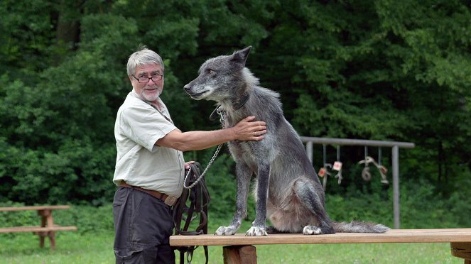 Die Rückkehr der Wölfe - Kuvat elokuvasta