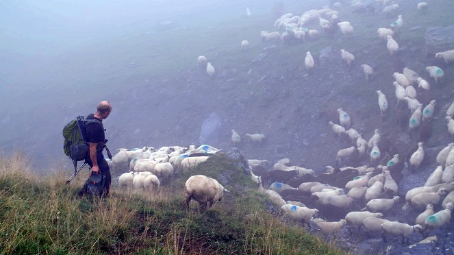 Die Rückkehr der Wölfe - Kuvat elokuvasta