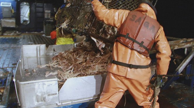 Deadliest Catch: Legend of the Cornelia Marie - Photos