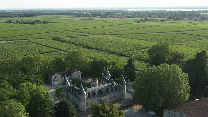 Milovníci vína - Bordeaux - Kuvat elokuvasta