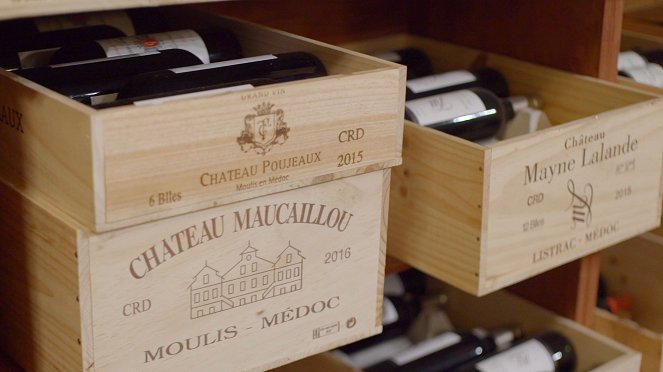 Milovníci vína - Bordeaux - Photos