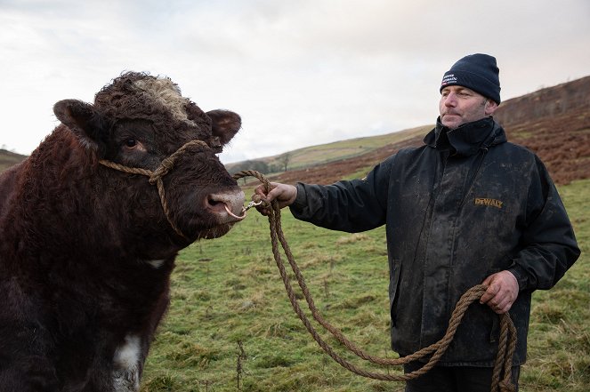 All Creatures Great and Small - A Tricki Case - Tournage