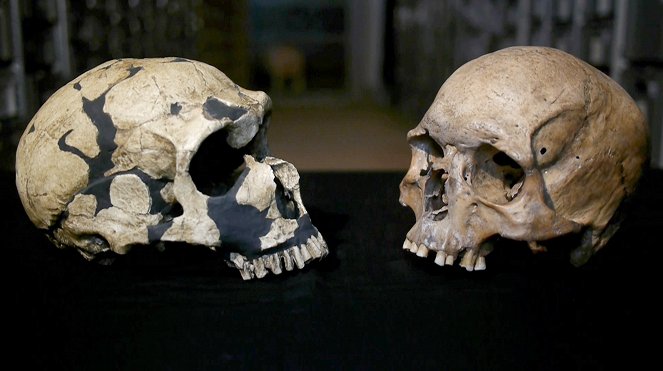 Der Neandertaler - Auf den Spuren unserer Vorfahren - Filmfotos