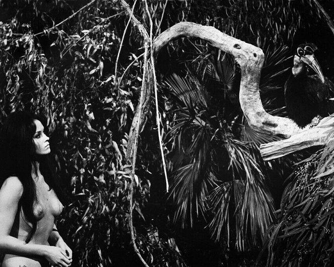 Tarzana, sesso selvaggio - De la película