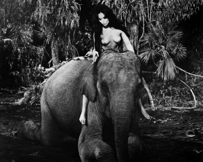 Tarzana, sesso selvaggio - Van film