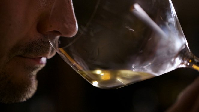 Milovníci vína - Burgundsko - Chardonnay - Kuvat elokuvasta