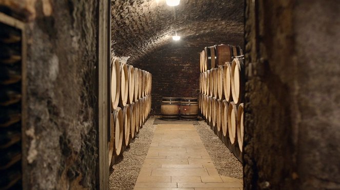 Milovníci vína - Burgundsko - Chardonnay - Filmfotos