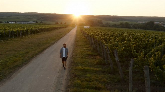 Milovníci vína - Burgundsko - Chardonnay - Filmfotók