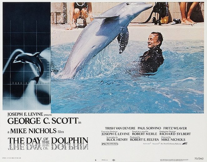De dag van de dolfijn - Lobbykaarten