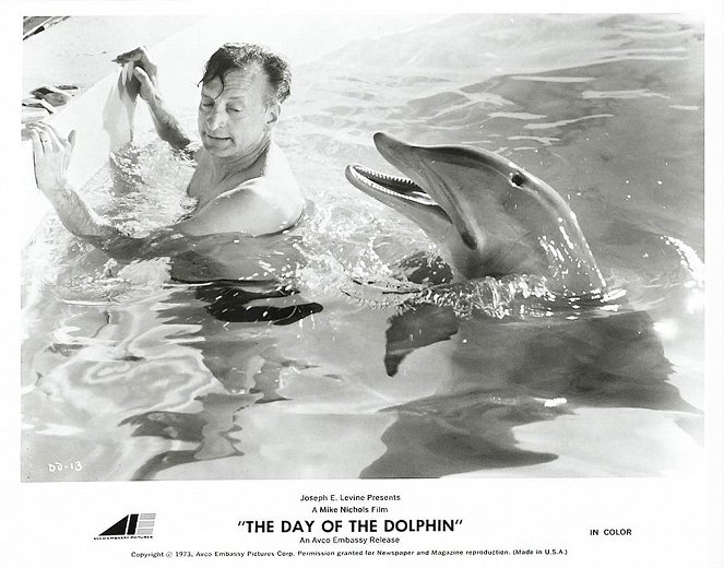 A delfin napja - Vitrinfotók