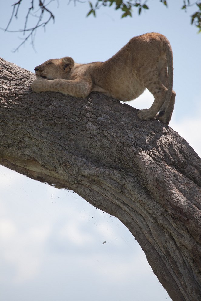 Planet Earth Live - Photos