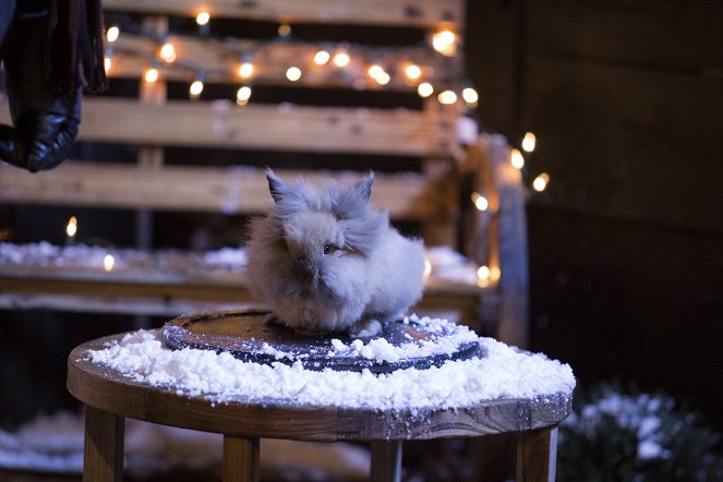 Eine tierische Weihnachtsgeschichte - Filmfotos
