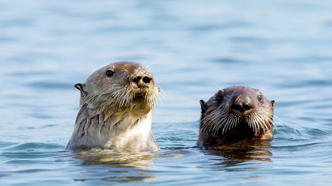 Animal Babies: First Year on Earth - Photos