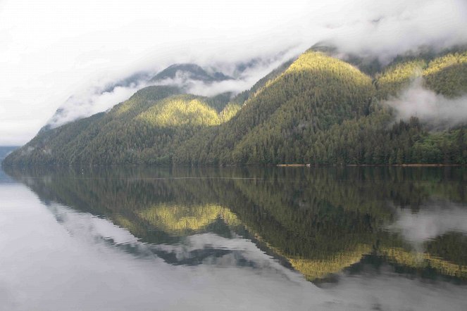 Im Regenwald der Geisterbären - Filmfotos